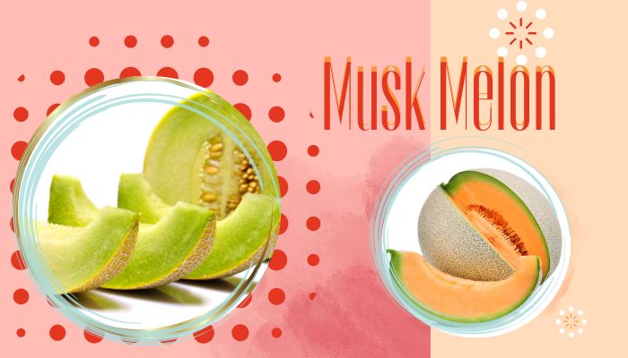 Muskmelon - Powerhouse of Nutrients
